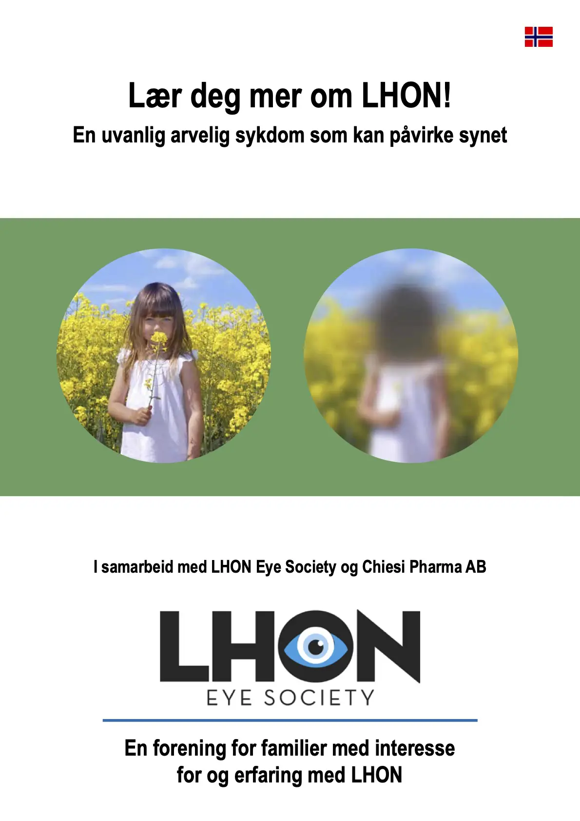 cover image for brochure about LHON in Norwegian